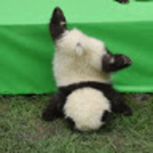 Meet your Posher, Vivy